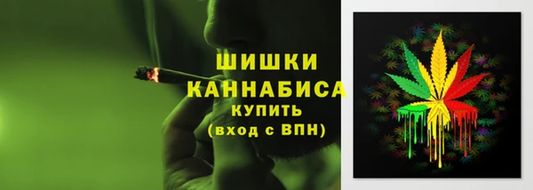 ГАЛЛЮЦИНОГЕННЫЕ ГРИБЫ Верхний Тагил