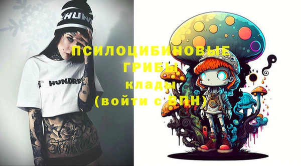 ГАЛЛЮЦИНОГЕННЫЕ ГРИБЫ Верхний Тагил