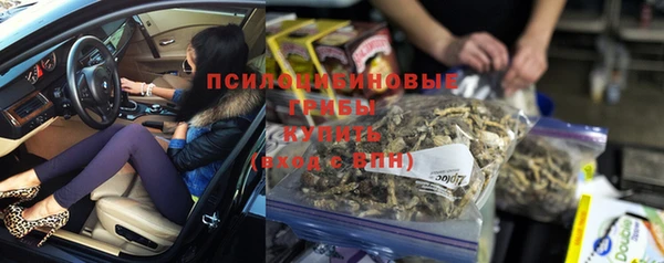 ГАЛЛЮЦИНОГЕННЫЕ ГРИБЫ Верхний Тагил
